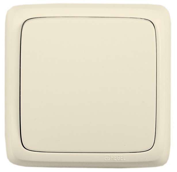 Выключатель 1-кл. ОП Альфа 16А IP20 250В с изолир. пластиной сл. кость HEGEL ВА16-113-01