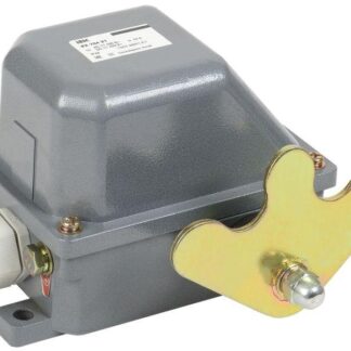 Выключатель концевой КУ-704 У1 W- образный рычаг 10А IP44 2 эл. цепи IEK KV-1-704-1