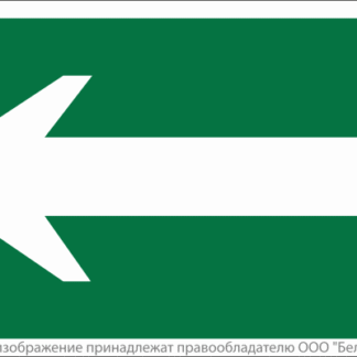 Знак безопасности NPU-2110.N01 "Движение к выезду" Белый свет a17813