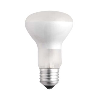 Лампа накаливания R63 40W E27 frost JazzWay 3321437
