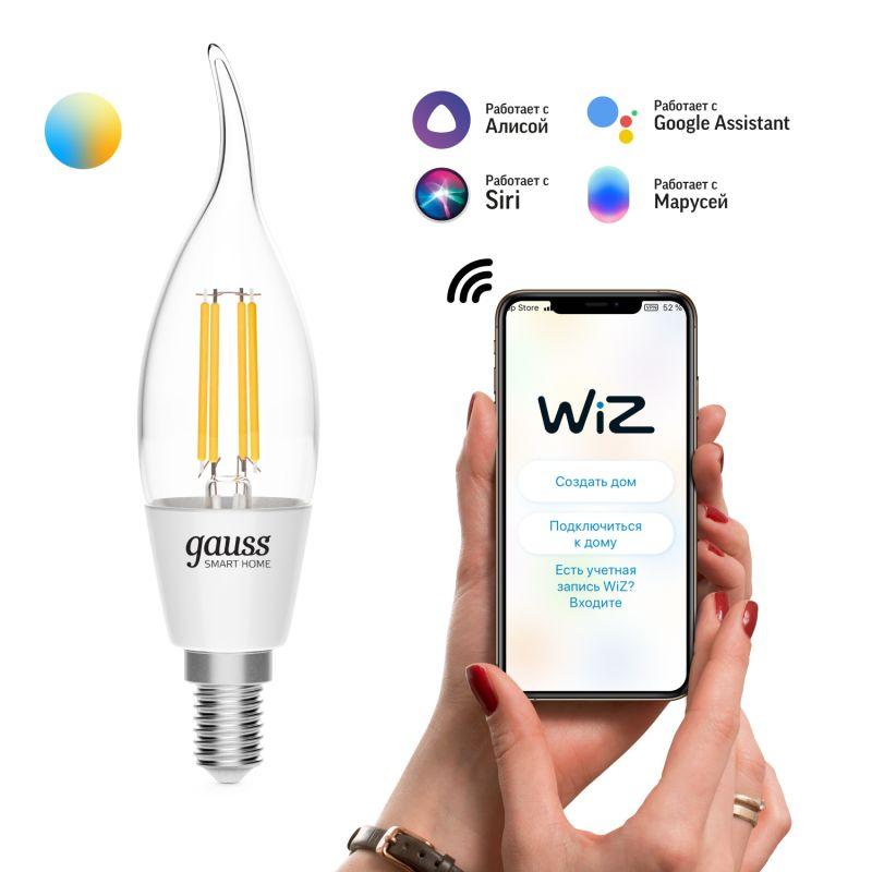 Лампа светодиодная умная Smart Home 4.5Вт свеча на ветру 2000-6500К E14 495лм измен. цветов. темпер.+ диммир. управле...