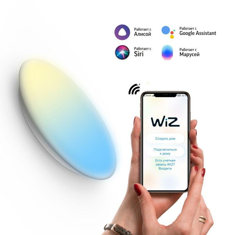 Светильник светодиодный Smart Home 25Вт 2700-6500К IP20 2000лм d400х70мм ДБО настенно-потолочный управление по Wi-Fi ...