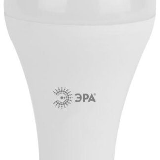 Лампа светодиодная A65-19W-840-E27 грушевидная 1520лм ЭРА Б0031703