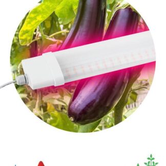 Светильник для растений FITO-36W-RB-N 36Вт 220-240В IP65 проф. спектр для периода вегетации прозр. рассеив. ЭРА Б0045697