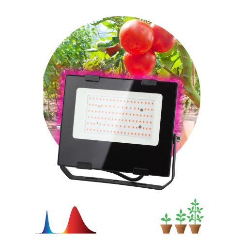Прожектор светодиодный для растений FITO-50W-RB-LED 50Вт IP65 для цветения и плодоношения красно-синего спектра ЭРА Б...