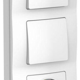 Блок СП Blanca (розетка с заземл. защ. шторки 16А 250В + 1-кл. выкл. + 1-кл. выкл.) бел. SE BLNBS101101