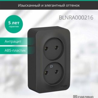 Розетка 2-м ОП Blanca 16А IP20 250В без заземл. без защ. шторок с изолир. пластиной антрацит SE BLNRA000216