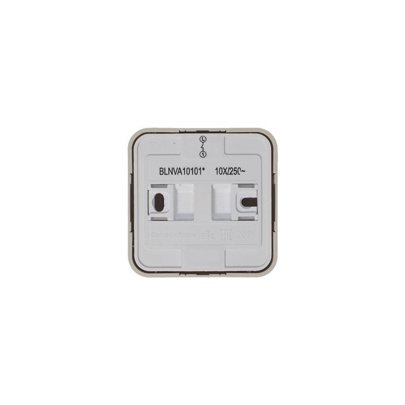 Выключатель 1-кл. ОП Blanca 10А IP20 (сх. 1) 250В с изолир. пластиной беж. SE BLNVA101017