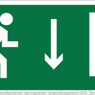 Знак безопасности BL-3015B.E09 Белый свет a14587