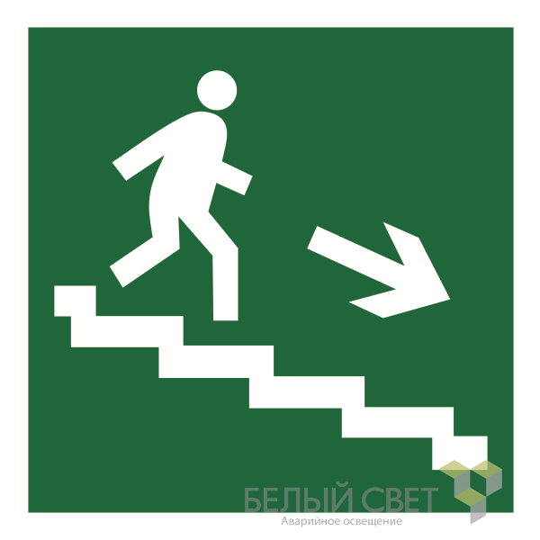 Знак безопасности NPU-2424.E03"Напр. к эвакуационному выходу направо" Белый свет a18708