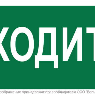 Знак безопасности NPU-2110.EC08 "Входите" Белый свет a18743