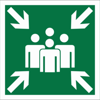 Знак безопасности BL-3015B.E21 Пункт (место) сбора Белый свет a19652