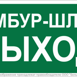 Знак безопасности BL-3015B.E42 Белый свет a21245