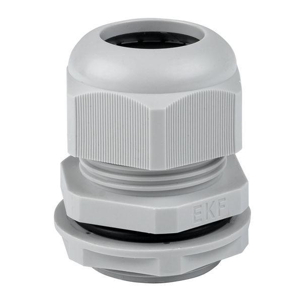 Сальник PG29 d18-25мм (d отверст. 36мм) IP54 PROxima EKF plc-pg-29-r